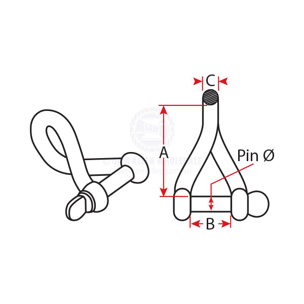 RILEY SHACKLES - TWISTED - STAINLESS STEEL
