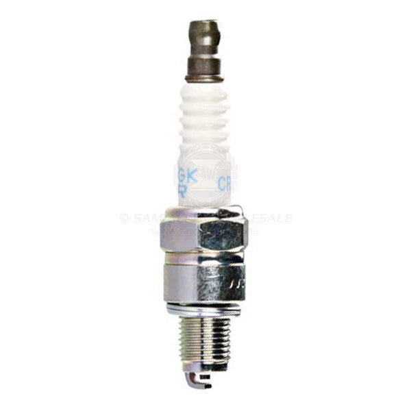 NGK SPARK PLUGS