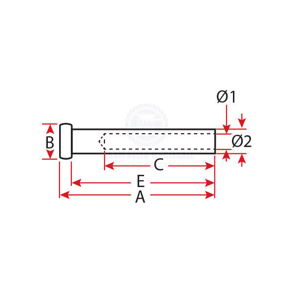 SWAGE TERMINALS - DOME - S/S
