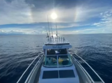 7.5m Plate Center Cabin Walk Around wolf pack aluminum boat