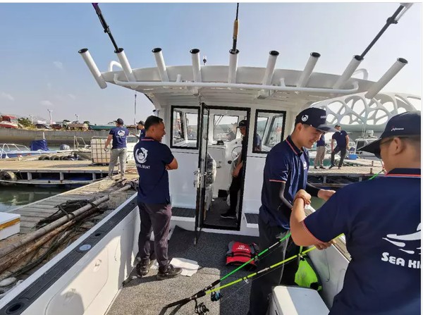wolf pack 7.3m Catamaran