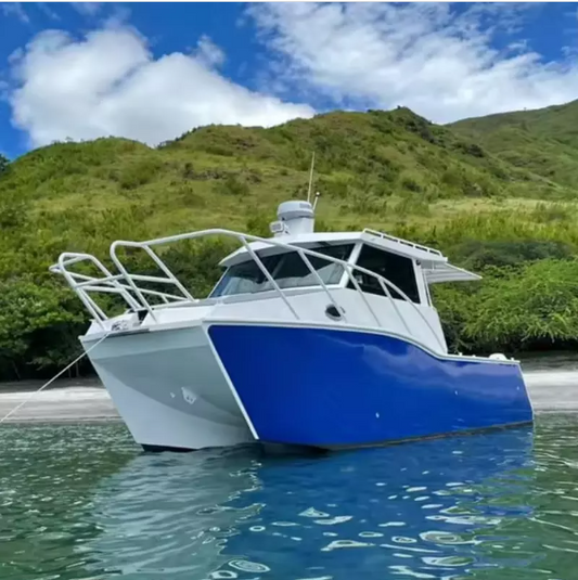 Wolf Pack 8.8m Aluminum Luxury Yacht Catamaran Sail Ferry Fishing Boat Passenger Boat