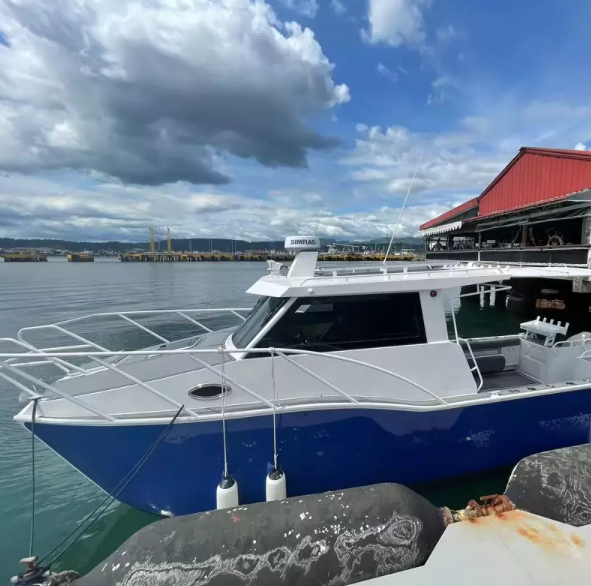 Wolf Pack 8.8m Aluminum Luxury Yacht Catamaran Sail Ferry Fishing Boat Passenger Boat
