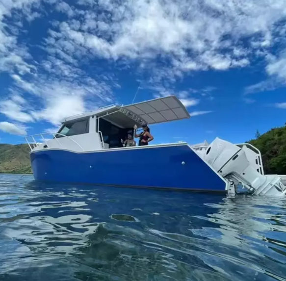 Wolf Pack 8.8m Aluminum Luxury Yacht Catamaran Sail Ferry Fishing Boat Passenger Boat