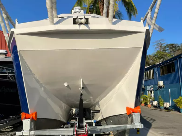 Wolf Pack 8.8m Catamaran