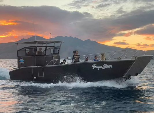 wolf Pack 10m Landing Craft