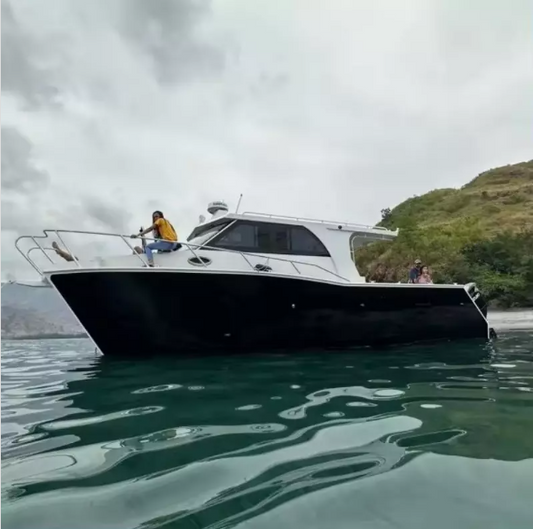 10m wolf Pack Water Taxi Passenger Fishing Speed Catamaran Boats Boat Luxury Yacht For The Ocean