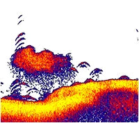 Ghost X Trolling Motor 47’’