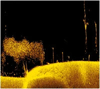 Ghost X Trolling Motor 47’’