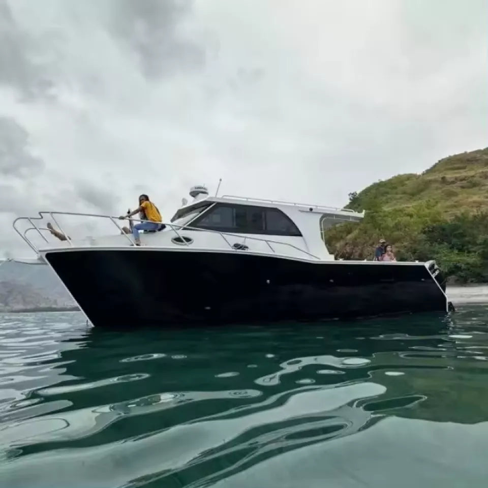 10m wolf Pack Water Taxi Passenger Fishing Speed Catamaran Boats Boat Luxury Yacht For The Ocean